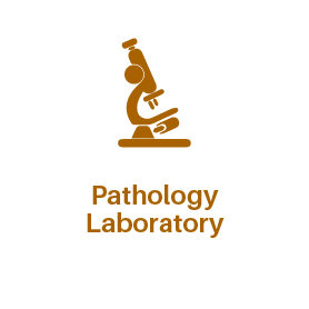 Pathology Laboratory